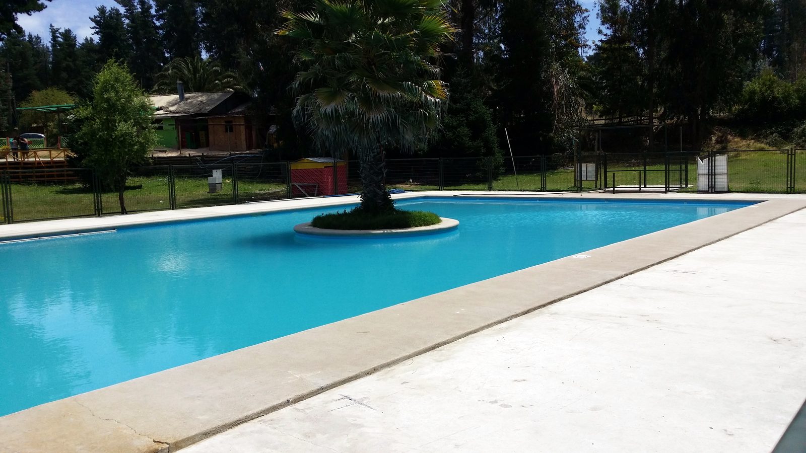 Piscina con isla y palmera